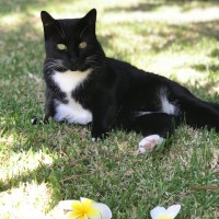 Photo of Snowy
