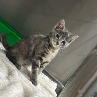 Photo of Vicki   Located In Pakenham