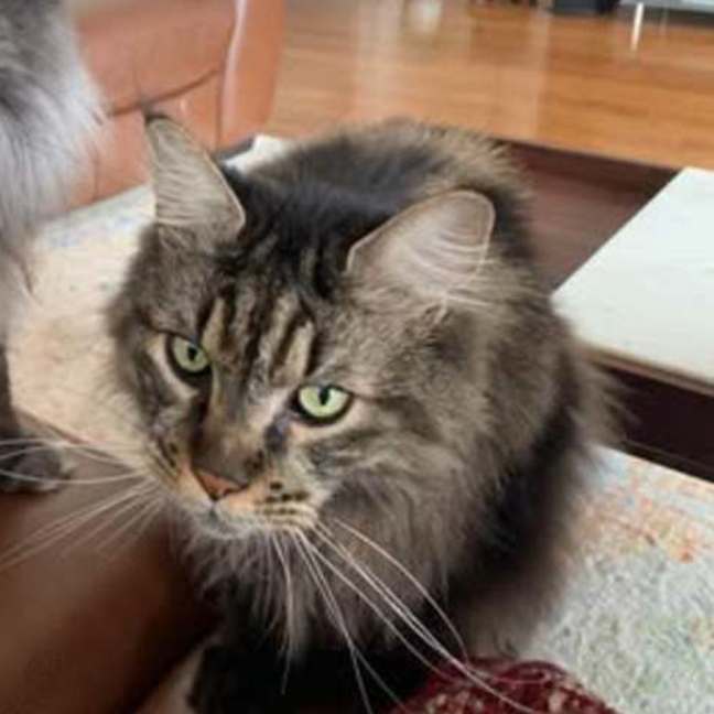 Photo of 💛 Zeppelin 💛