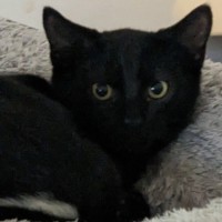 Photo of Nemo (With Kiki)