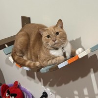 Photo of Billie   In Foster Care In Preston