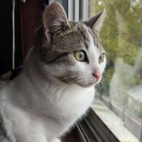 Photo of Bunny