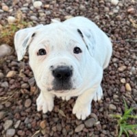 Photo of Tilly