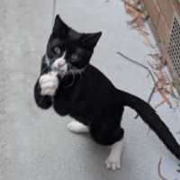 Photo of Michael Teddy 