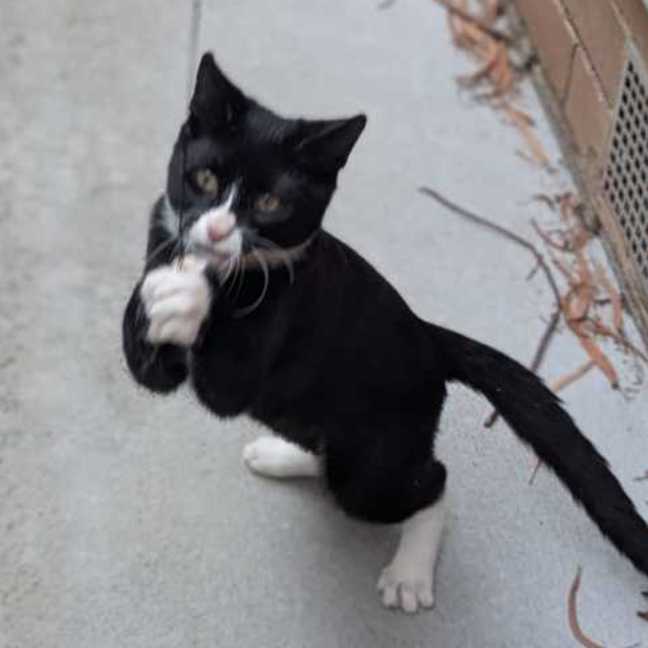 Photo of Michael Teddy 