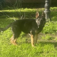 Photo of Khyla