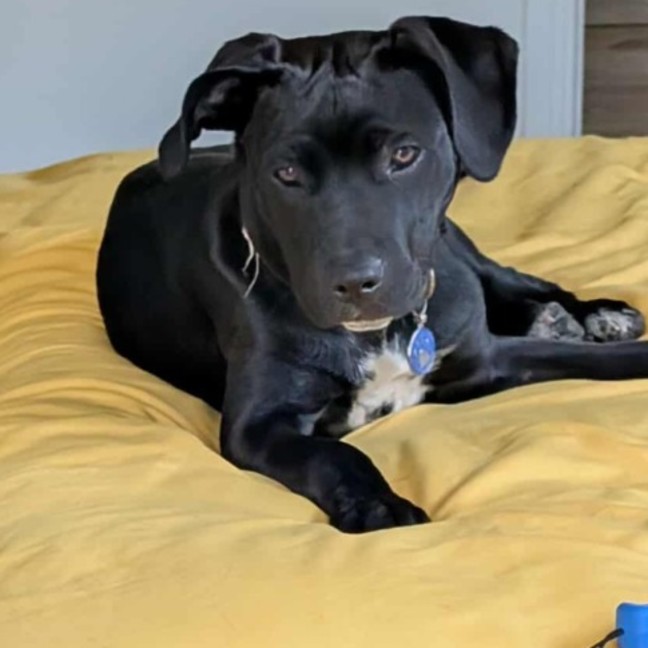 Photo of Echo