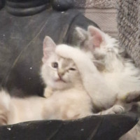 Photo of Marie