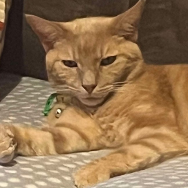 Photo of Sam