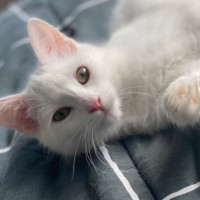 Photo of Bridgit Jones 