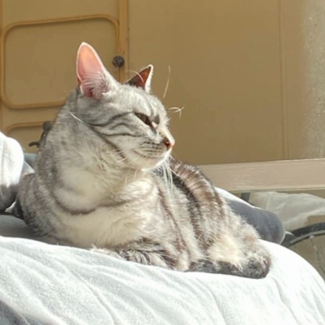 Photo of Sweet, Gentle Hope ♡