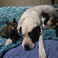 Photo of Bloom (Located In Wantirna South)