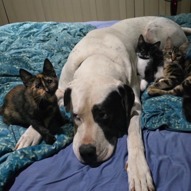 Photo of Bloom (Located In Wantirna South)