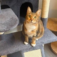 Photo of Candy