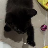 Photo of Charlie