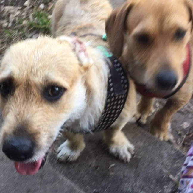 Photo of Hannah And Edward