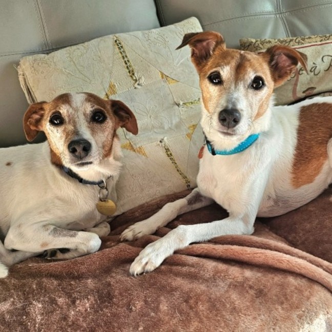 Photo of Abbott & Costello