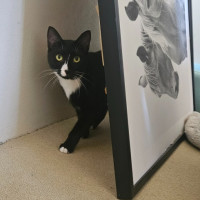 Photo of Neo