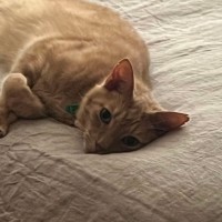 Photo of Sam