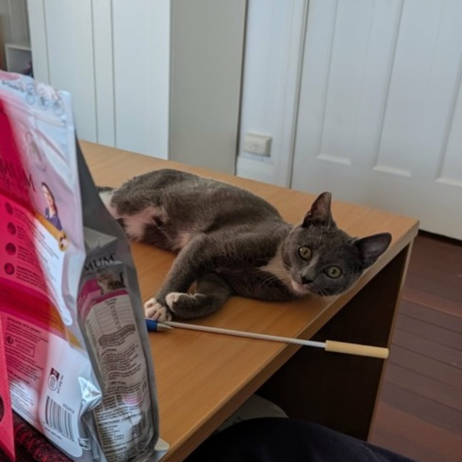 Photo of Oli