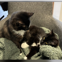 Photo of Sage & Rosemary 