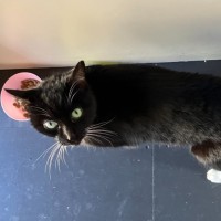 Photo of Sparkles