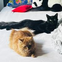 Photo of River & Genevieve