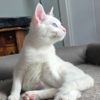 Photo of Pippi