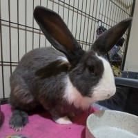 Photo of Masiy (Located In Wantirna South)