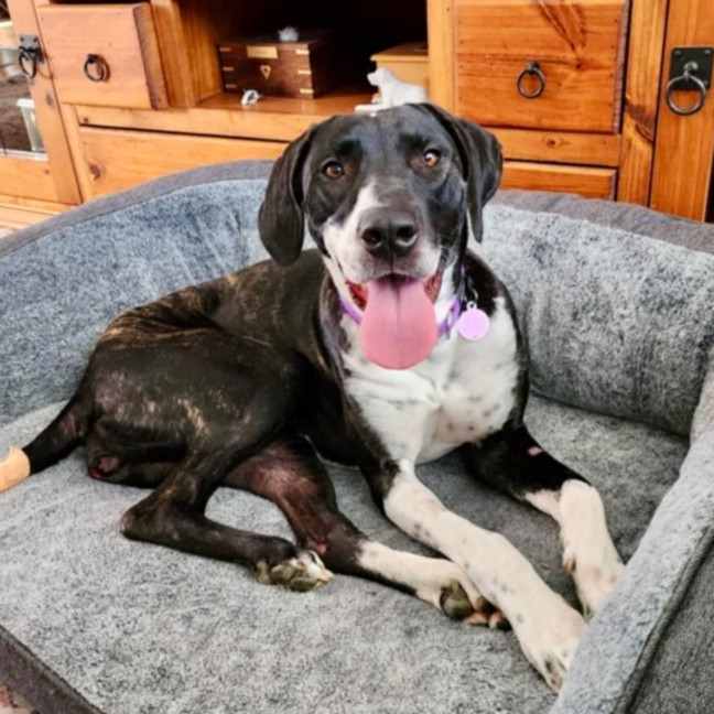 Photo of Maggie