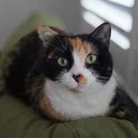 Photo of Lily