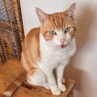 Photo of Ranger