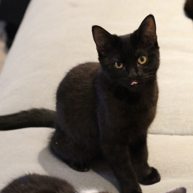 Photo of Ralph