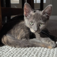 Photo of Greta