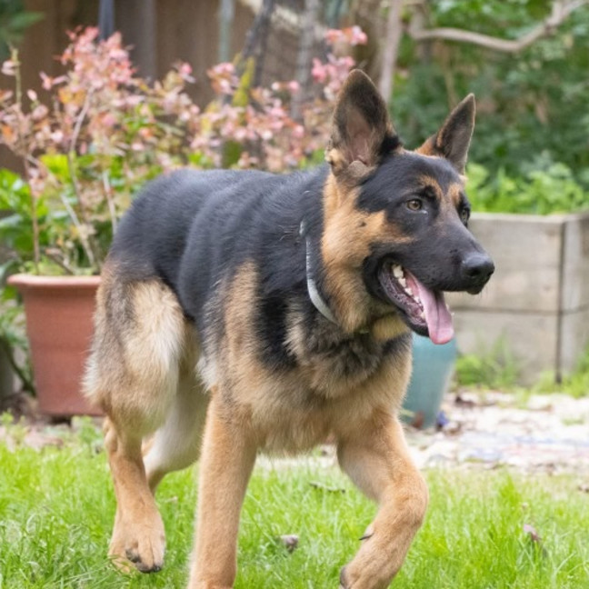 Photo of Riot