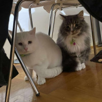 Photo of 🩵🤍Indiana Jones🤍🩵