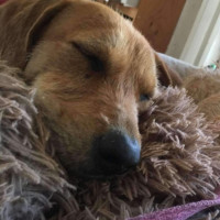 Photo of Hannah And Edward