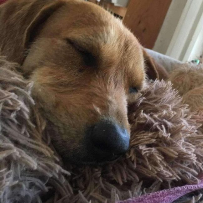 Photo of Hannah And Edward