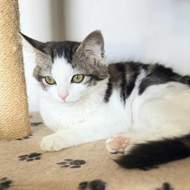 Photo of 🧚Elfina🧚‍♂️