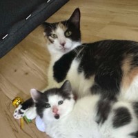 Photo of Baby Girl