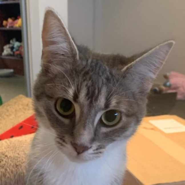 Photo of Diana   Loves Affection