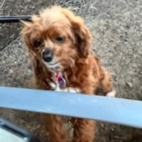 Photo of Meg