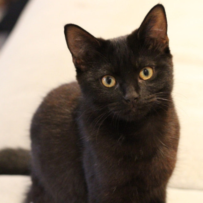 Photo of Ralph