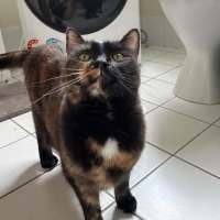 Photo of Lucy