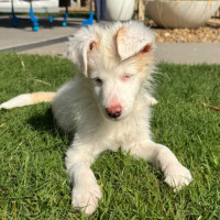 Photo of Tilly