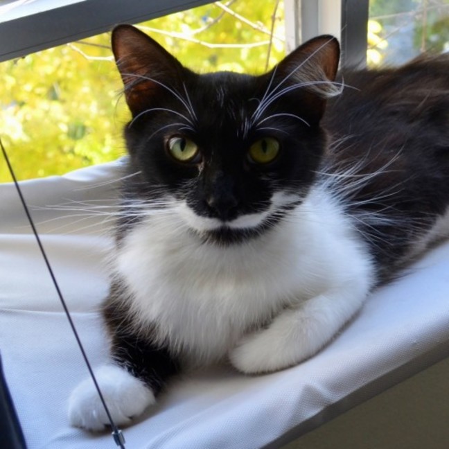 Photo of Polly