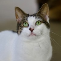 Photo of 🤍 Dotti 💗