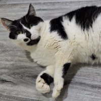 Photo of Hunter