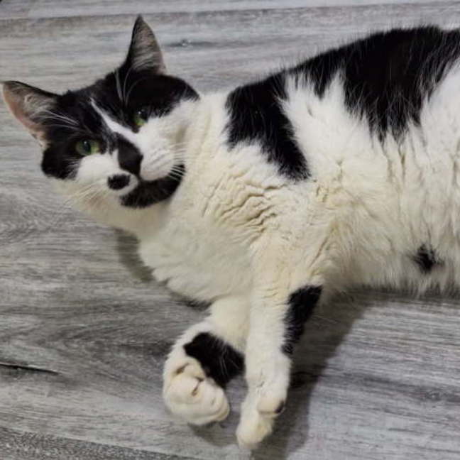 Photo of Hunter