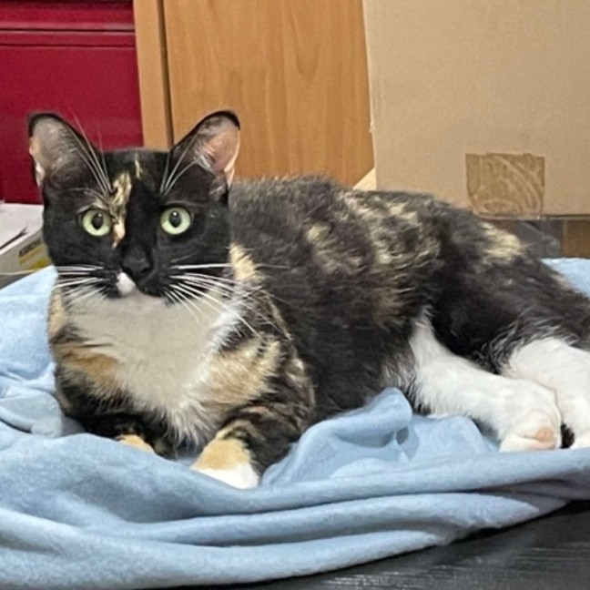 Photo of Bubbles